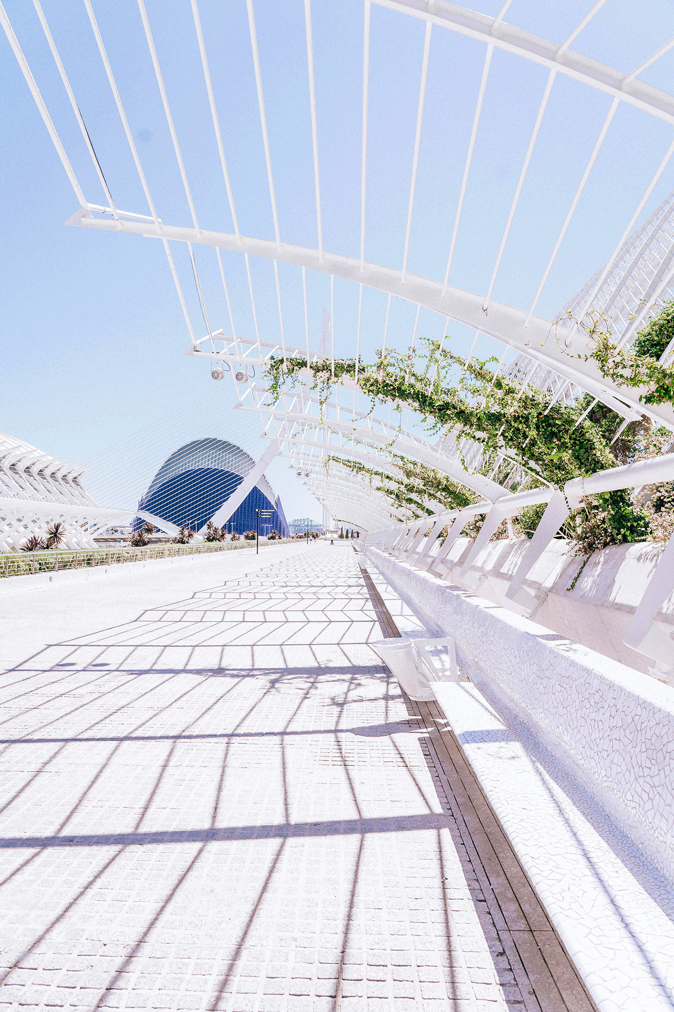 fecovalCACUmbracle